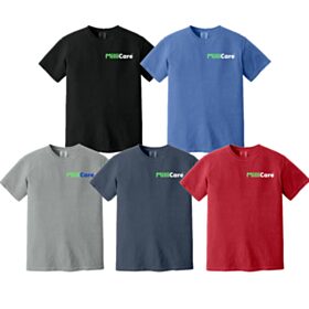 TECH - Comfort Colors® Heavyweight Ring Spun Tee. 1717 - DF/LC