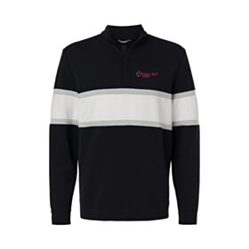 ART-Swannies Men's Owen 1/4-Zip Colorblock Pullover. SWOQ500
