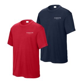 STANDARD - Youth Short Sleeve Wicking Tee. YST350 - DF/LC