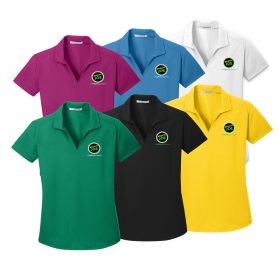 Ladies' Dry Zone Grid Polo. L572